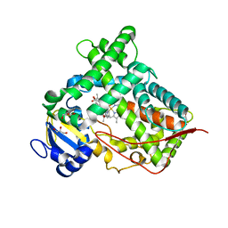 BU of 4gqs by Molmil