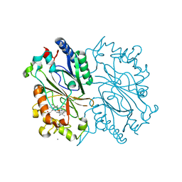 BU of 4grc by Molmil