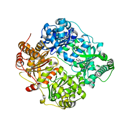 BU of 4gsf by Molmil