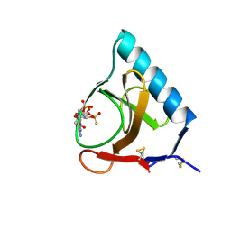 BU of 4gsp by Molmil