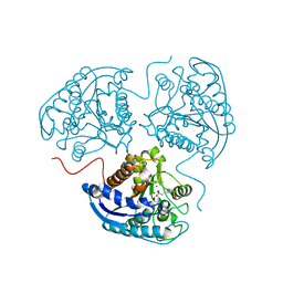 BU of 4gsv by Molmil