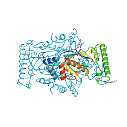 BU of 4gt9 by Molmil