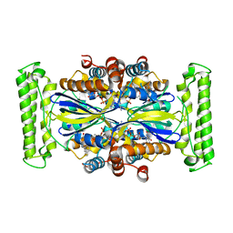 BU of 4gtc by Molmil