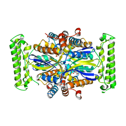 BU of 4gtl by Molmil