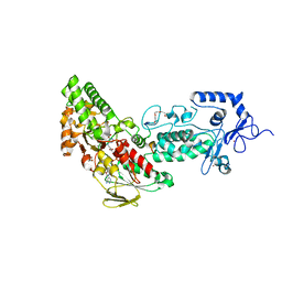 BU of 4gut by Molmil