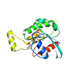 BU of 4gzm by Molmil