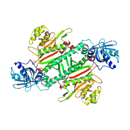 BU of 4h02 by Molmil