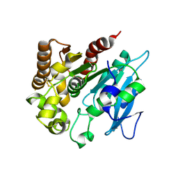 BU of 4h18 by Molmil