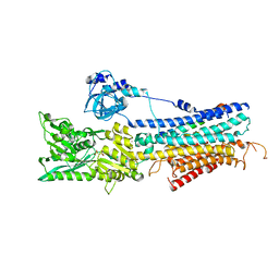 BU of 4h1w by Molmil