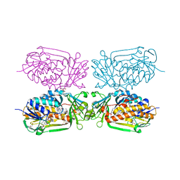 AU of 4h28 by Molmil
