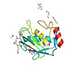 BU of 4h2e by Molmil