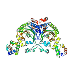 BU of 4h2y by Molmil