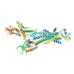 BU of 4h63 by Molmil