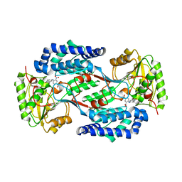 BU of 4h80 by Molmil