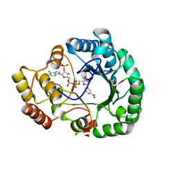 BU of 4h8n by Molmil