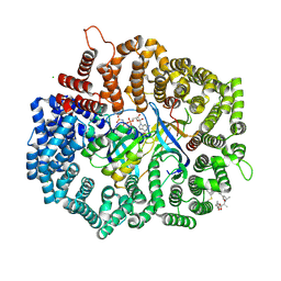 BU of 4hb0 by Molmil