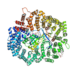 BU of 4hb4 by Molmil