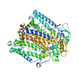 BU of 4hbh by Molmil