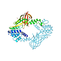 BU of 4hc4 by Molmil