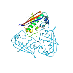 BU of 4hc6 by Molmil