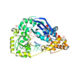 BU of 4hcb by Molmil