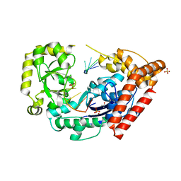 BU of 4hcc by Molmil