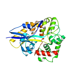 BU of 4hcw by Molmil