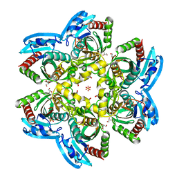 AU of 4hen by Molmil