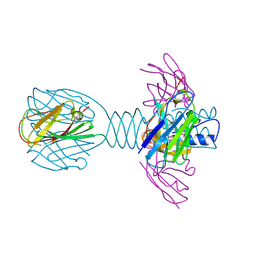 BU of 4hep by Molmil