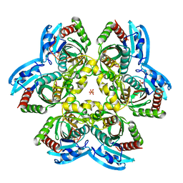 AU of 4her by Molmil