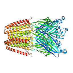 BU of 4hfb by Molmil