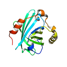 BU of 4hfo by Molmil