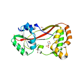 BU of 4hg2 by Molmil