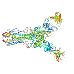 BU of 4hg4 by Molmil