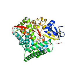 BU of 4hgh by Molmil