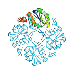 BU of 4hgp by Molmil