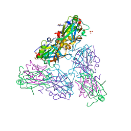 BU of 4hit by Molmil