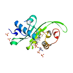 BU of 4hkf by Molmil