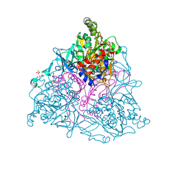 BU of 4hkv by Molmil