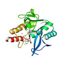 BU of 4hl1 by Molmil