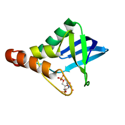 BU of 4hmj by Molmil