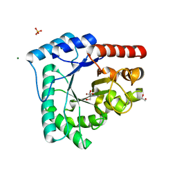 BU of 4hno by Molmil