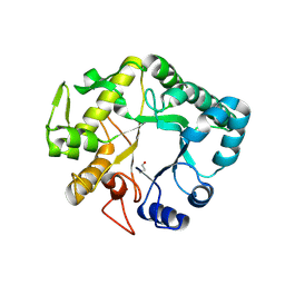 BU of 4hpg by Molmil