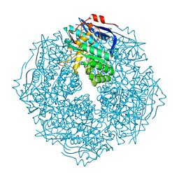 BU of 4hpn by Molmil