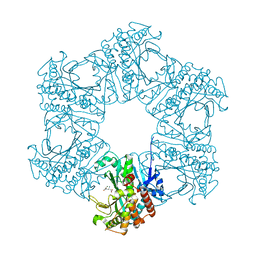 BU of 4hpp by Molmil