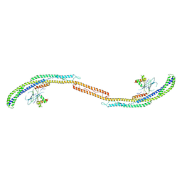 BU of 4hpq by Molmil