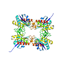 BU of 4hps by Molmil