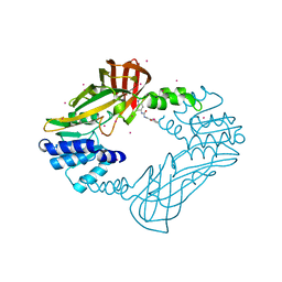 BU of 4hsg by Molmil