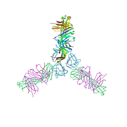 BU of 4ht1 by Molmil