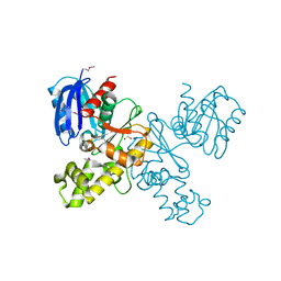 BU of 4htl by Molmil